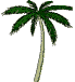 palme_ani